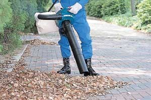 BHX2501 Leaf Blower