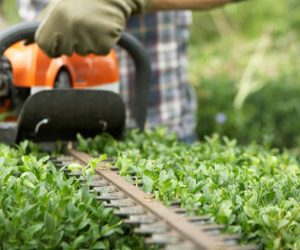 Husqvarna Hedge Trimmer