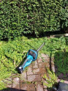 Makita Cordless Hedge Trimmer in Action