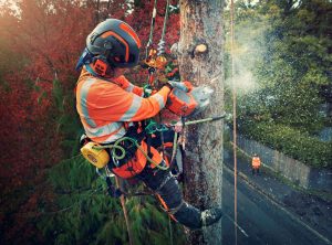 New Husqvarna Battery Powered Chainsaws!